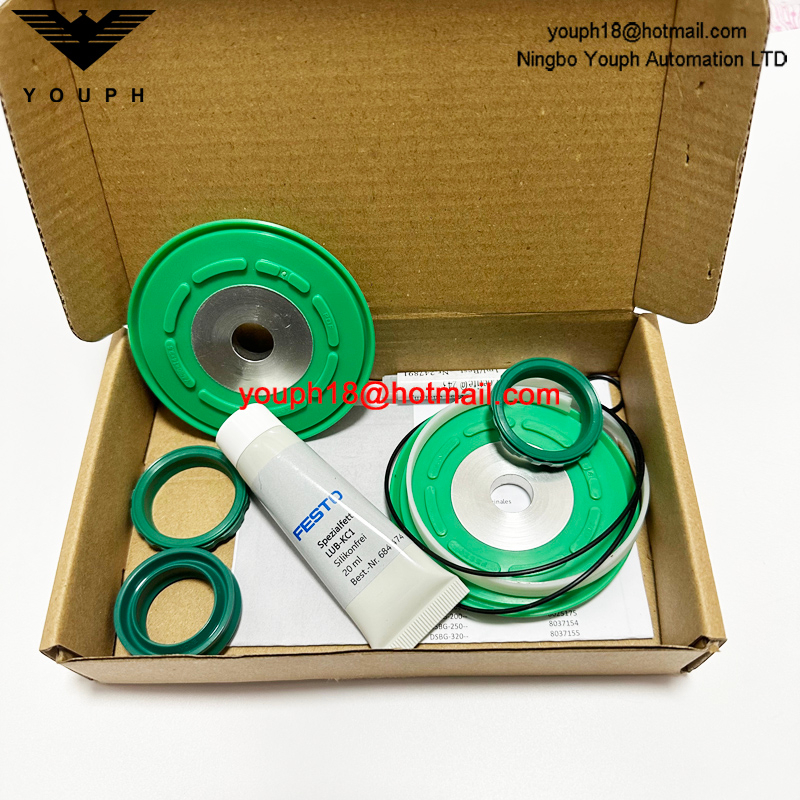 Festo DSBC/G-100-- 753093 DSBC100 Cylinder Seal Set of wearing parts Repair Kit