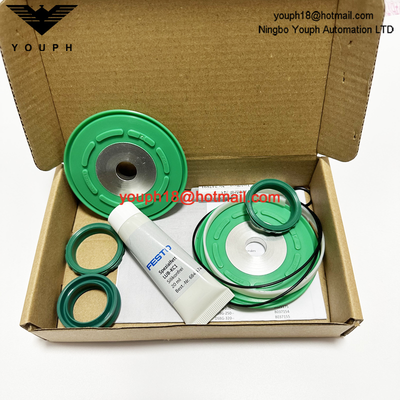 Festo DSBC/G-100-- 753093 DSBC100 Cylinder Seal Set of wearing parts Repair Kit
