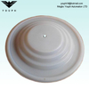 108839 HUSKY716 HUSKY515 VA15 VA20 PTFE Membrane D53211 Paint Pump Diamphragm parts