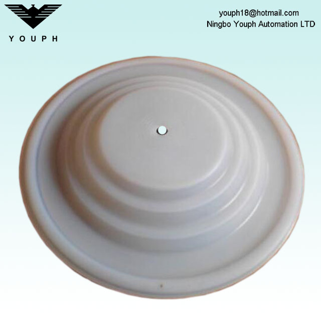 108839 HUSKY716 HUSKY515 VA15 VA20 PTFE Membrane D53211 Paint Pump Diamphragm parts