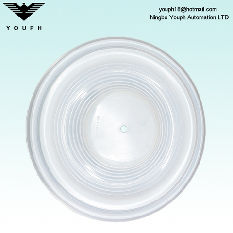 08-1010-55 PTFE Diaphragm of 2" Wilden Pneumatic Pump P8 T8 series 08.1010.55
