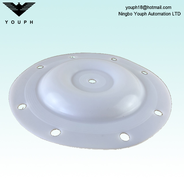 E505TF VERSA-MATIC 1/2 inch PTFE Diaphragm 