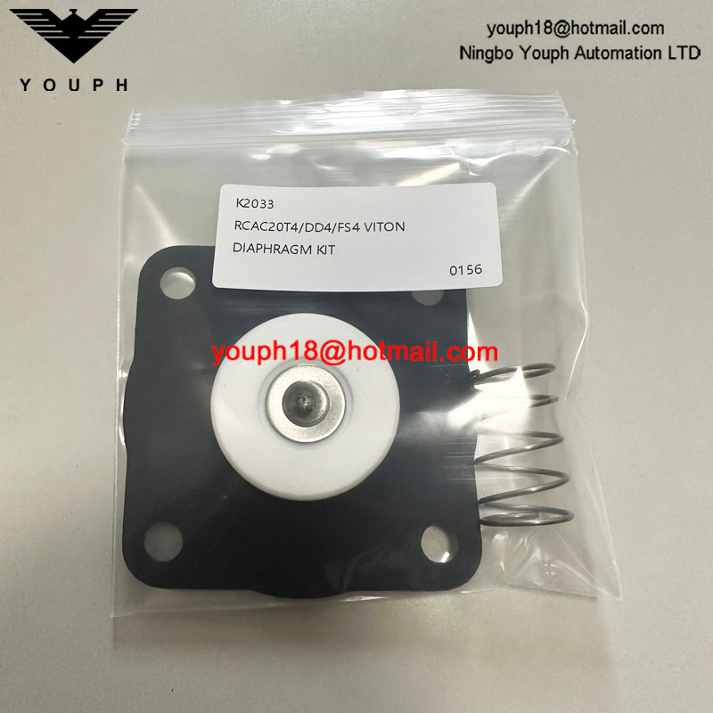 Goyen K2033 RCAC20 RCAC20FS4 RCAC20ST4 Pulse Valve Viton Diaphragm Kit