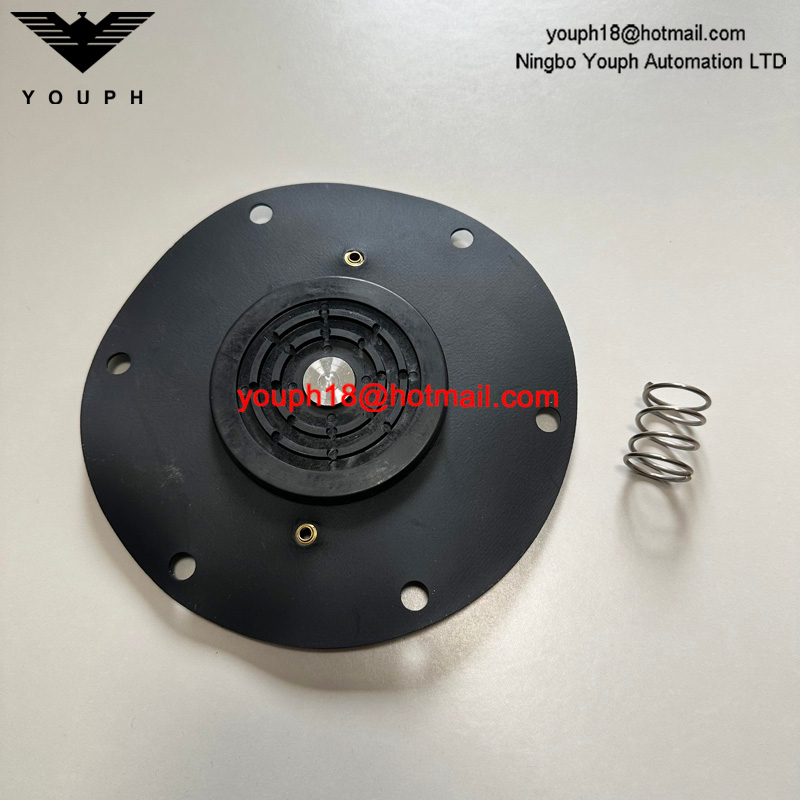 REPAIR KIT FOR DIAPHRAGM VALVE 8493635.0000.0000 DN65 102-SMALL 107-LARGE SPRING 105-SMALL 108-LARGE DIAPHRAGM