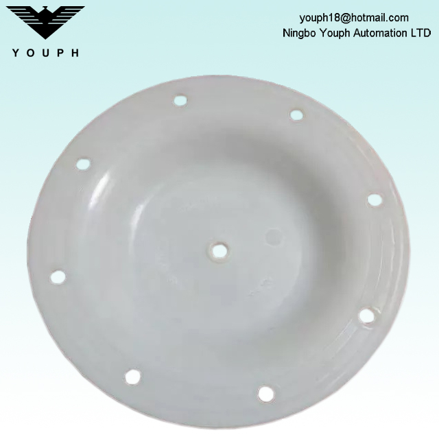 V183TF Versa-Matic E1 Series Pumps PTFE Diaphragm parts