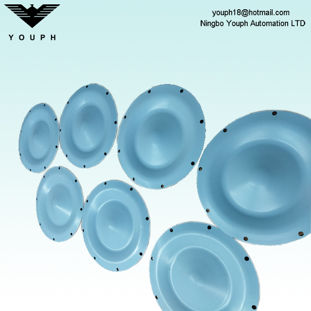 DM40 DELLMECO Diaphragm pumps PTFE Membrane Outer Diameter 259mm with 8 flang bolt holes