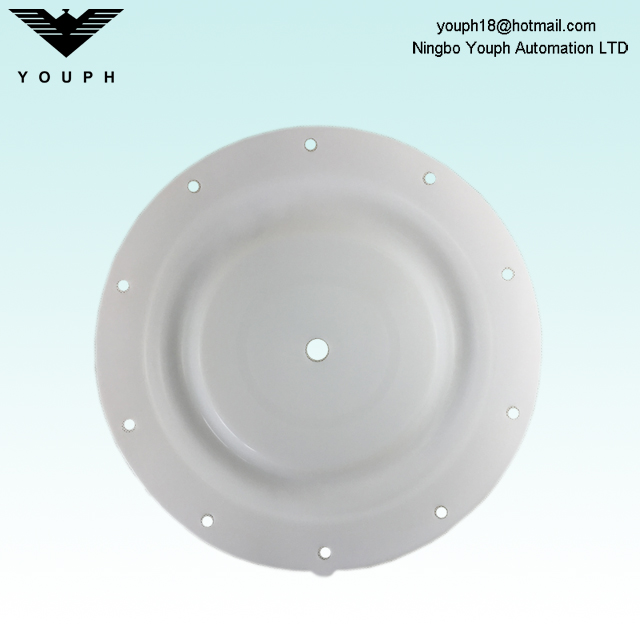 94617 Ingersoll Rand PTFE F46 Diaphragm for DN40 ARO Diaphragm Pumps 666170-244-C