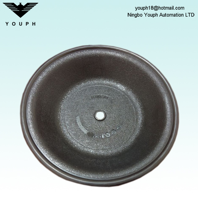V163BN Diaphragm part of VERSA-MATIC E4 Pumps
