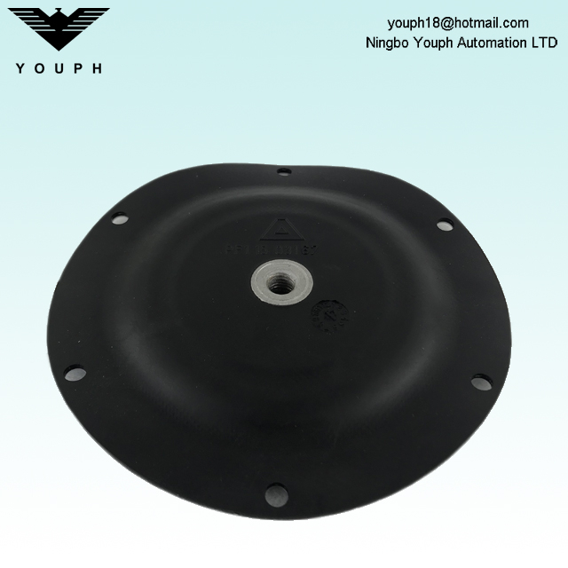 11503167 PTFE/EPDM compound Diaphragm Part for Almatec E15 Series Pumps E15TTT