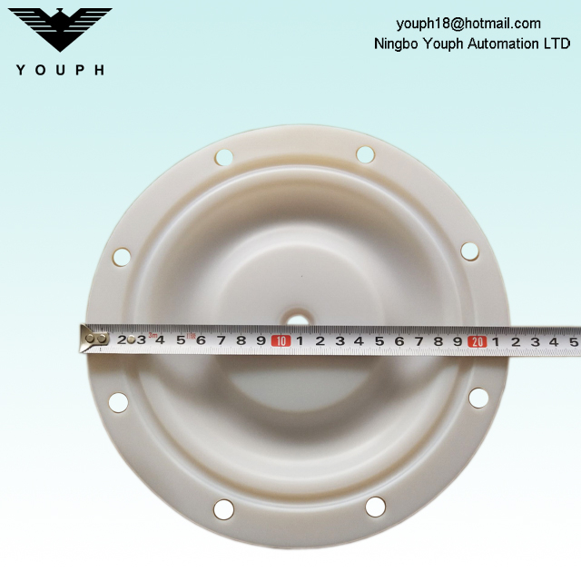 6202 PTFE Membrane fit BSK - 25AL BA25AL Diphragm pumps