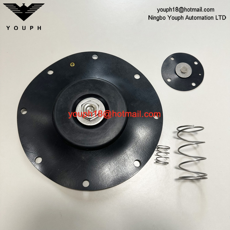 Goyen K10201 CA102MM011-300 -305 -301 RCA102MM 4" VITON Diaphragm Repair Kit
