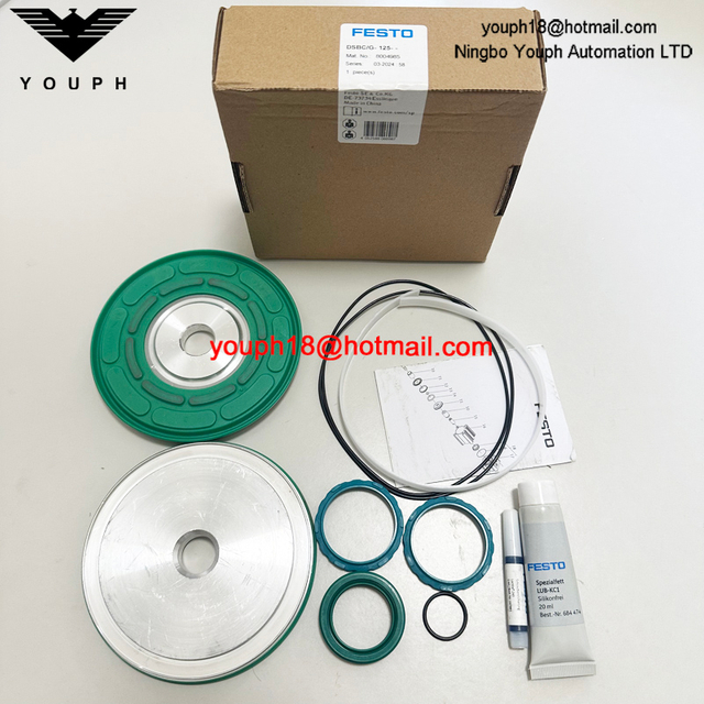 Festo DSBC/G-125-- 8004985 DSBC125 Standad Cylinder Repair Kit