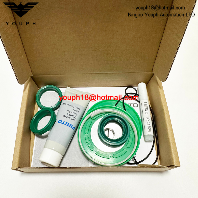 Festo DSBC/G-63-- 753091 DSBC-50 Cylinder Seals Set of wearing parts