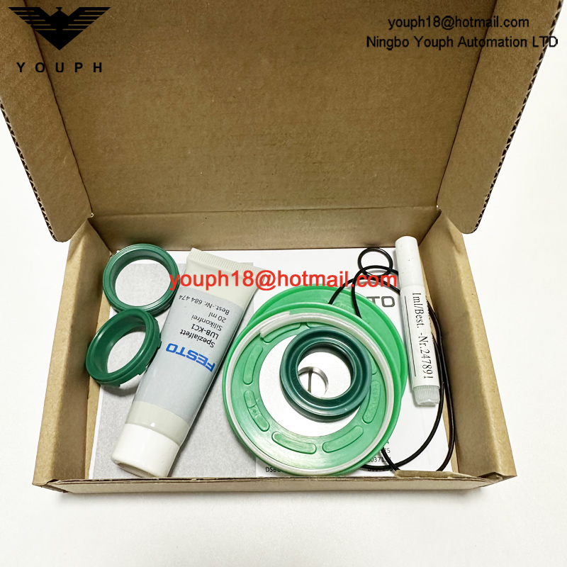 Festo DSBC/G-63-- 753091 DSBC-50 Cylinder Seals Set of wearing parts