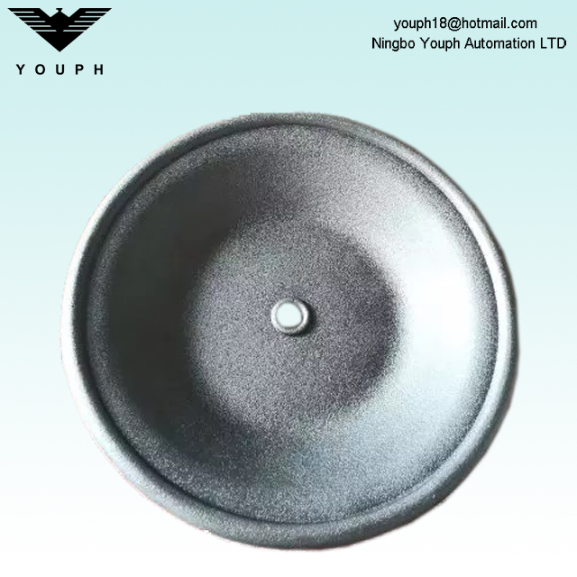02-1010-52 Buna-N Diaphragm for Wilden 1 inch Pneumatic Diaphragm Pumps P200 T2