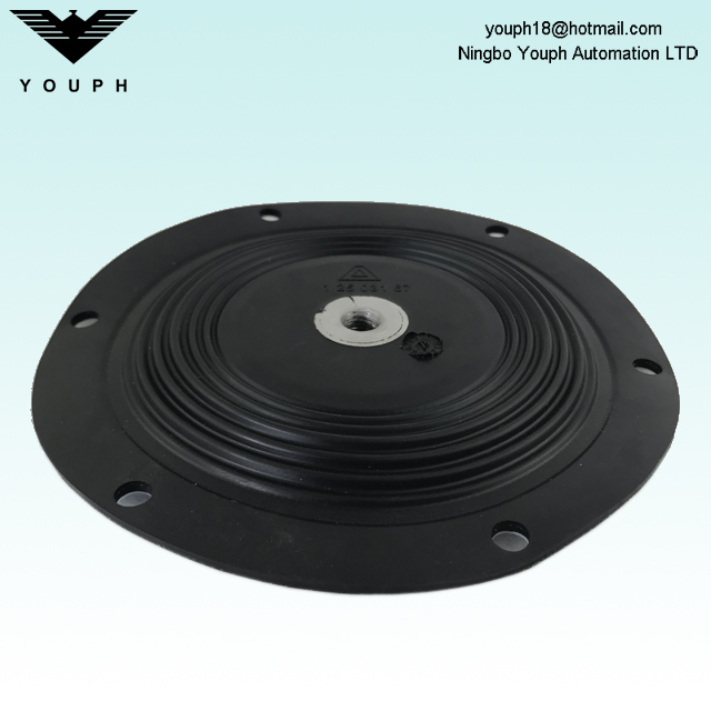 12503167 Almatec 1 inch PTFE Compound Diaphragm Diameter 190mm for E25TTT E25ETT Air Operated Membrane Pumps