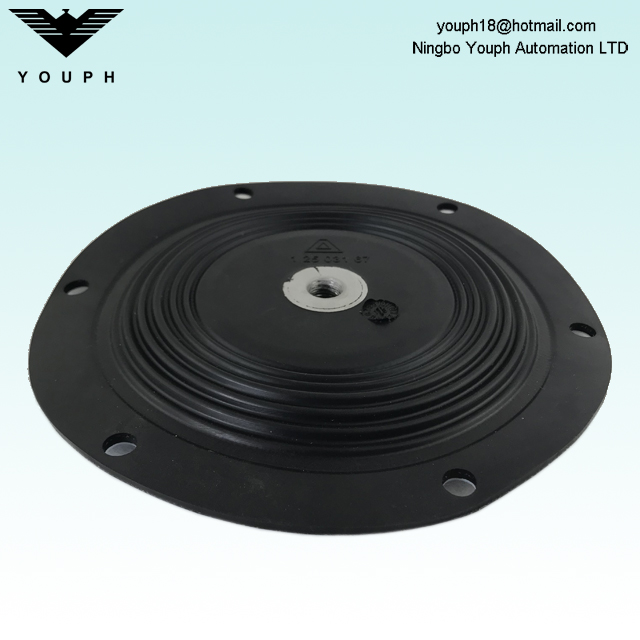 12503167 Almatec 1 inch PTFE Compound Diaphragm Diameter 190mm for E25TTT E25ETT Air Operated Membrane Pumps