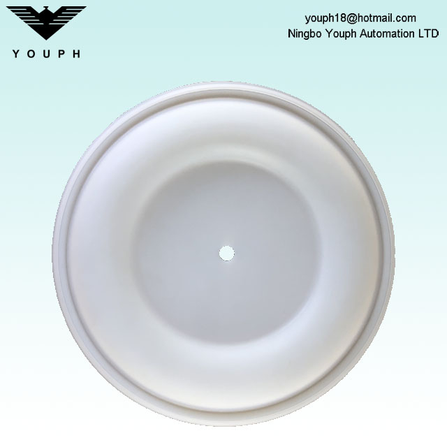 15K313 Husky 2150 2" Diaphragm Pump PTFE Diaphragm