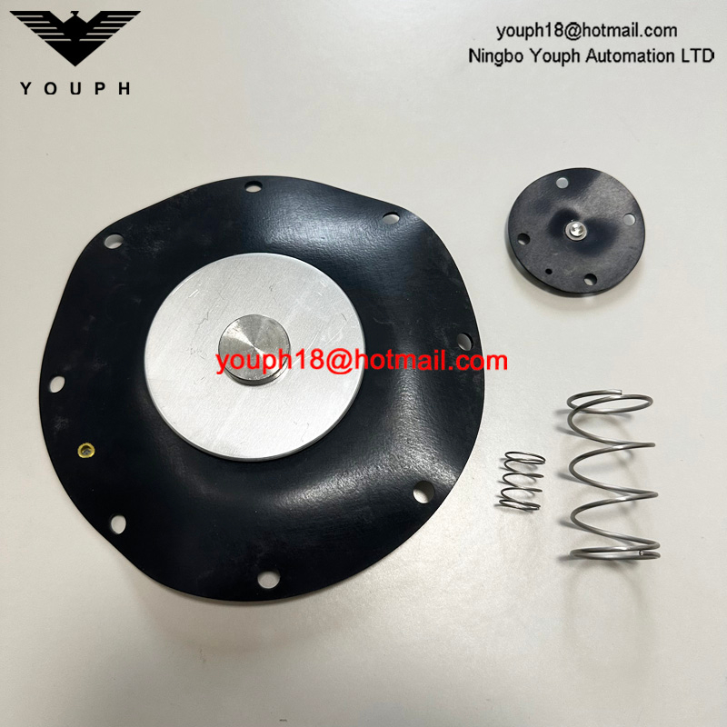 Goyen K10201 CA102MM011-300 -305 -301 RCA102MM 4" VITON Diaphragm Repair Kit