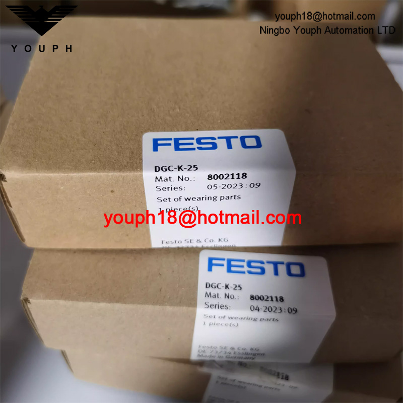 Festo DGC-K Linear drive Cylinder Repair Kit DGC-K-25 8002118