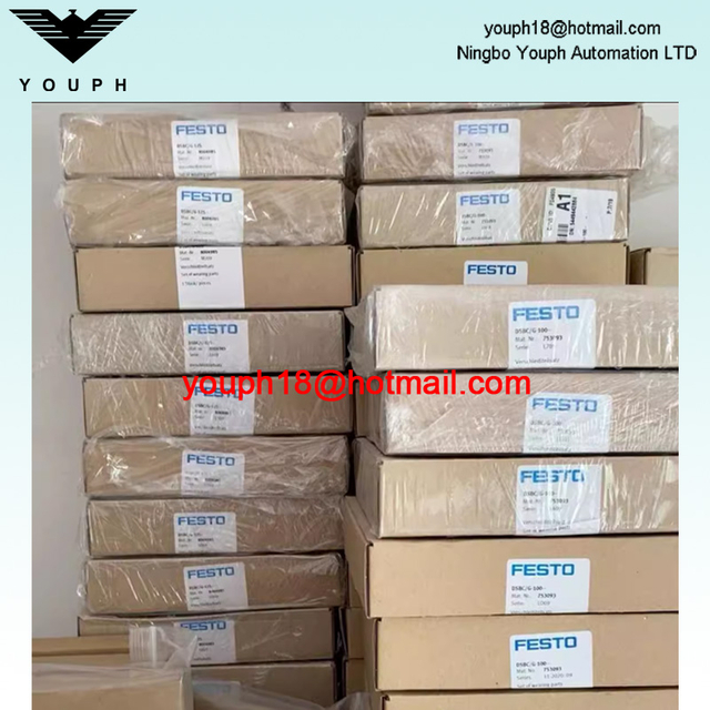 Festo DSBC/G-100-- 753093 DSBC100 Cylinder Seal Set of wearing parts Repair Kit