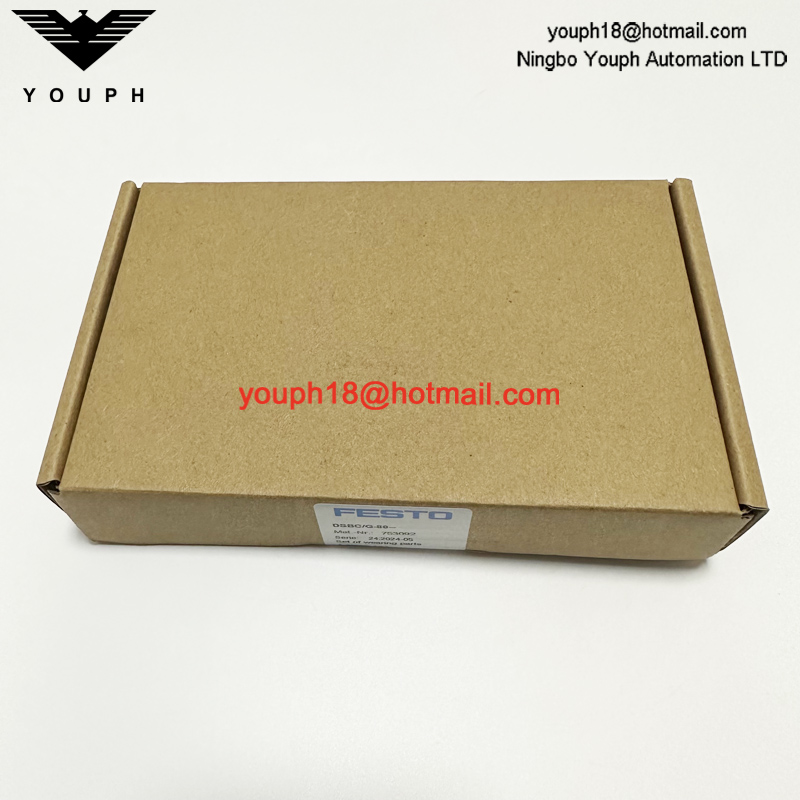 Festo DSBC/G-80-- 753092 DSBC-80 Cylinder Seal Set of wearing parts