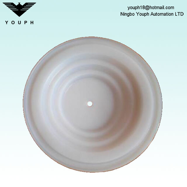 108839 HUSKY716 HUSKY515 VA15 VA20 PTFE Membrane D53211 Paint Pump Diamphragm parts