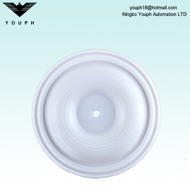 Wilden 02-1010-55 PTFE Membrane for P2 P200 1 inch Pneumatic Diaphragm Pumps