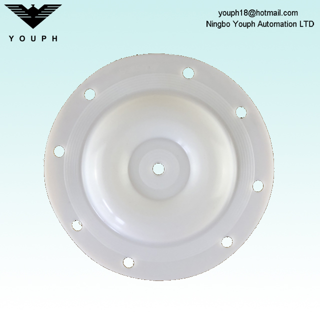 E505TF VERSA-MATIC 1/2 inch PTFE Diaphragm 