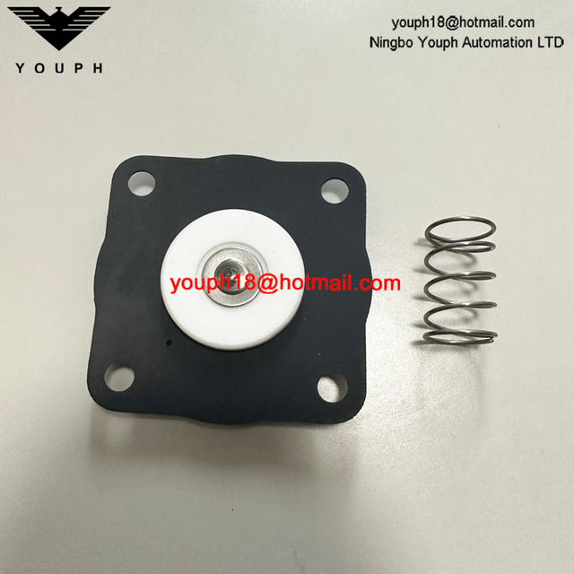 Goyen K2033 RCAC20 RCAC20FS4 RCAC20ST4 Pulse Valve Viton Diaphragm Kit