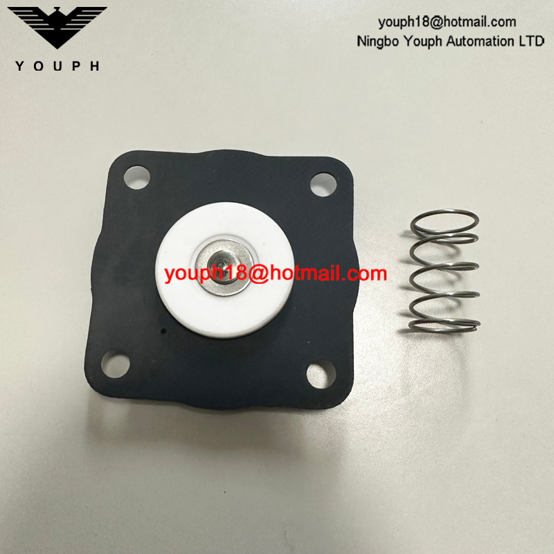 Goyen K2033 RCAC20 RCAC20FS4 RCAC20ST4 Pulse Valve Viton Diaphragm Kit