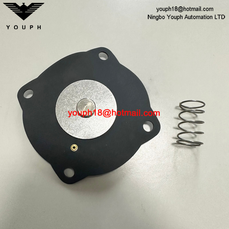 Goyen K2551 RCAC25T4 RCAC25T4012 RCAC25DD4 Pulse Jet Valve VITON Diaphragm Repair Kit