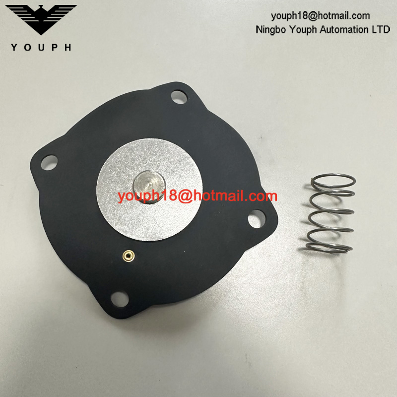 Goyen K2551 RCAC25T4 RCAC25T4012 RCAC25DD4 Pulse Jet Valve VITON Diaphragm Repair Kit