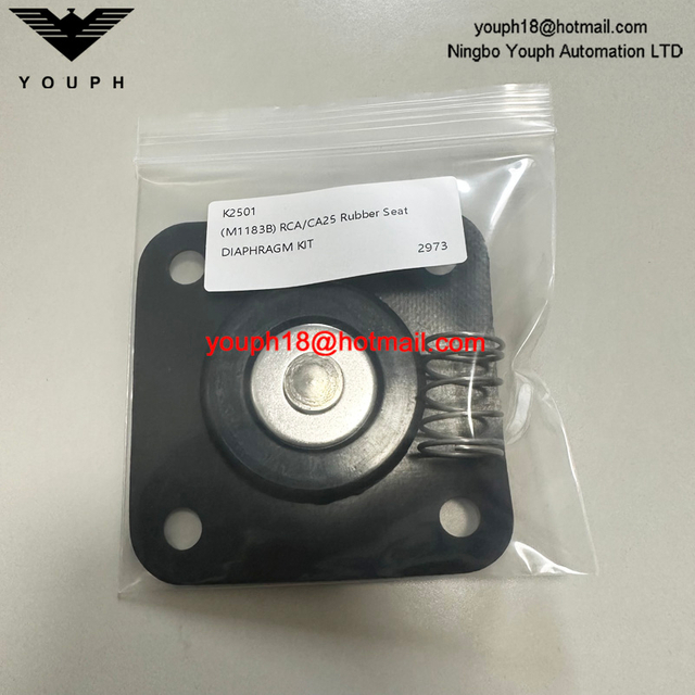 Goyen K2501 M1183B RCA25DD CAC25FS RCAC25FS Pulse Valve DN25 Diaphragm Kit