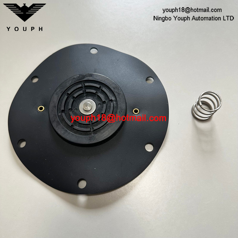 REPAIR KIT FOR DIAPHRAGM VALVE 8493635.0000.0000 DN65 102-SMALL 107-LARGE SPRING 105-SMALL 108-LARGE DIAPHRAGM