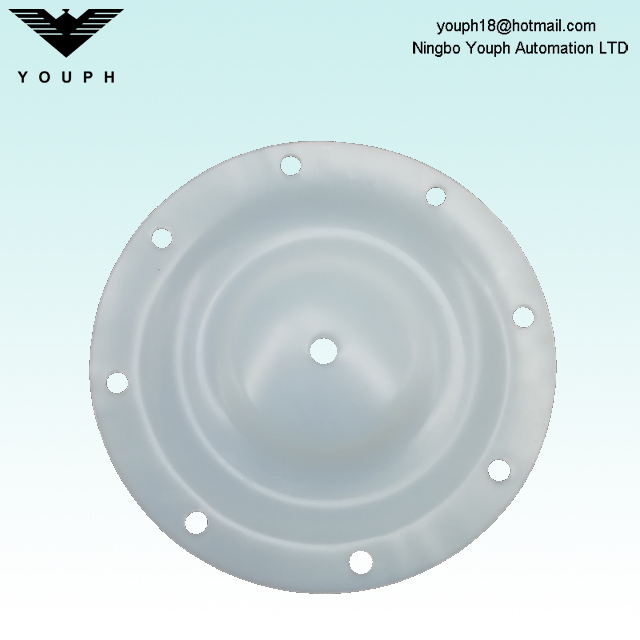 Ingersoll Rand 93459-4 PTFE Diaphragm Diameter 196mm for 1" ARO Diaphragm Pumps 