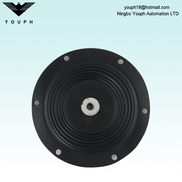 12503167 Almatec 1 inch PTFE Compound Diaphragm Diameter 190mm for E25TTT E25ETT Air Operated Membrane Pumps