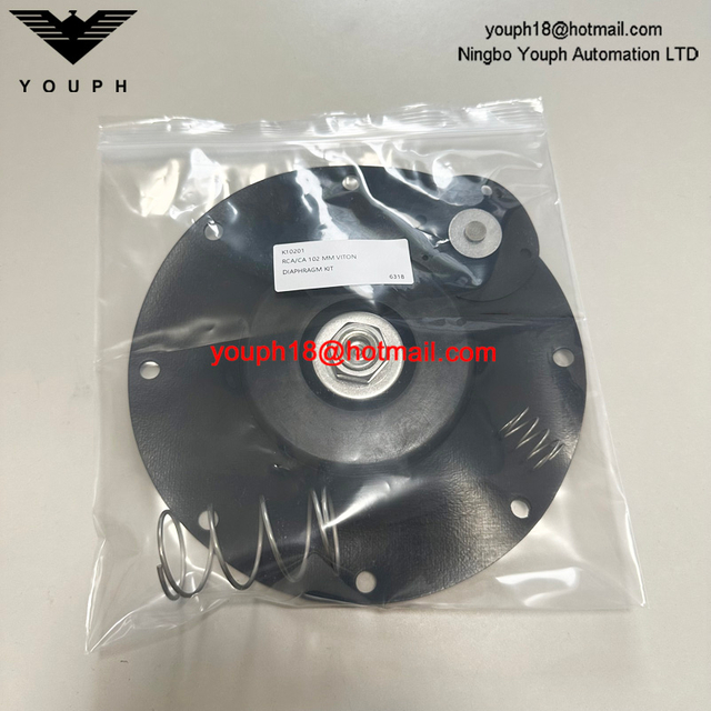 Goyen K10201 CA102MM011-300 -305 -301 RCA102MM 4" VITON Diaphragm Repair Kit