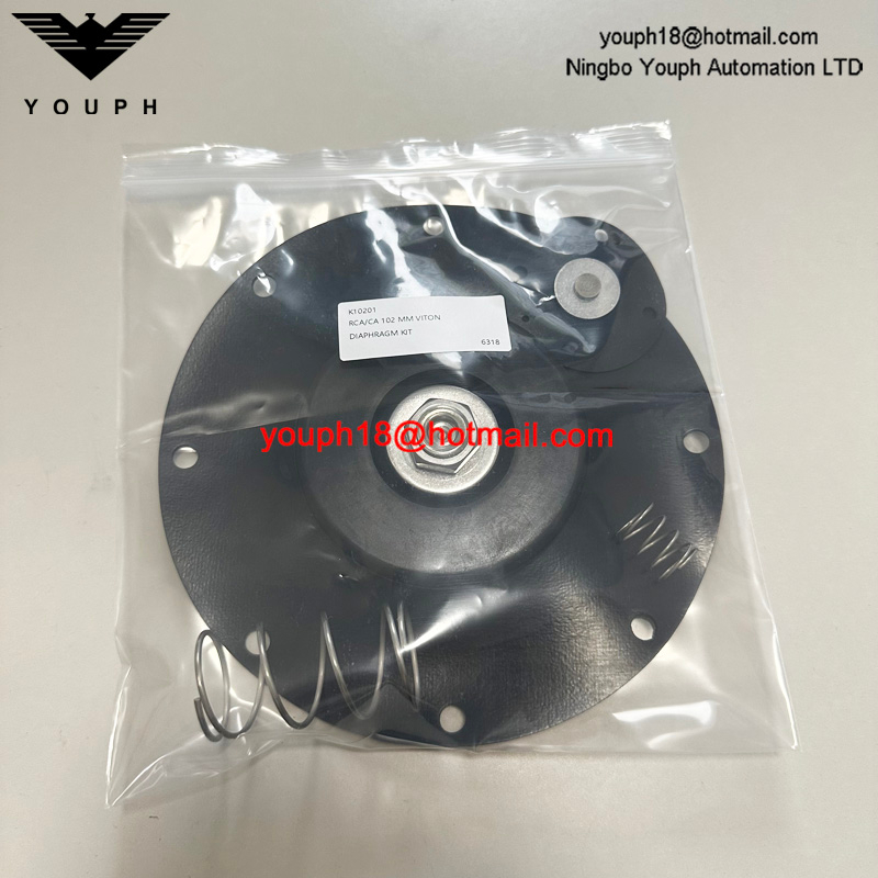 Goyen K10201 CA102MM011-300 -305 -301 RCA102MM 4" VITON Diaphragm Repair Kit