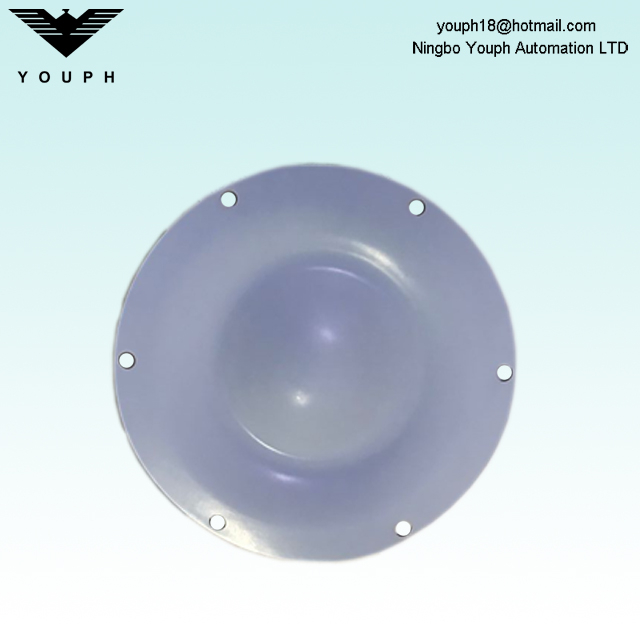 DM25 PTFE diaphragm of DELLMECO DM25/125 Pump DM25/125 TTT-NPT