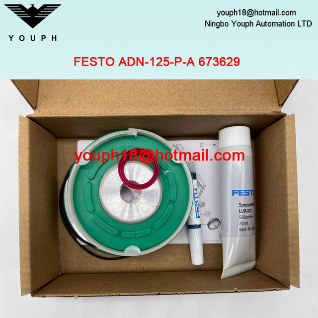 Festo ADN-125-P-A 673629 ADN-125 Compact cylinders ADN/AEN Repair Kit