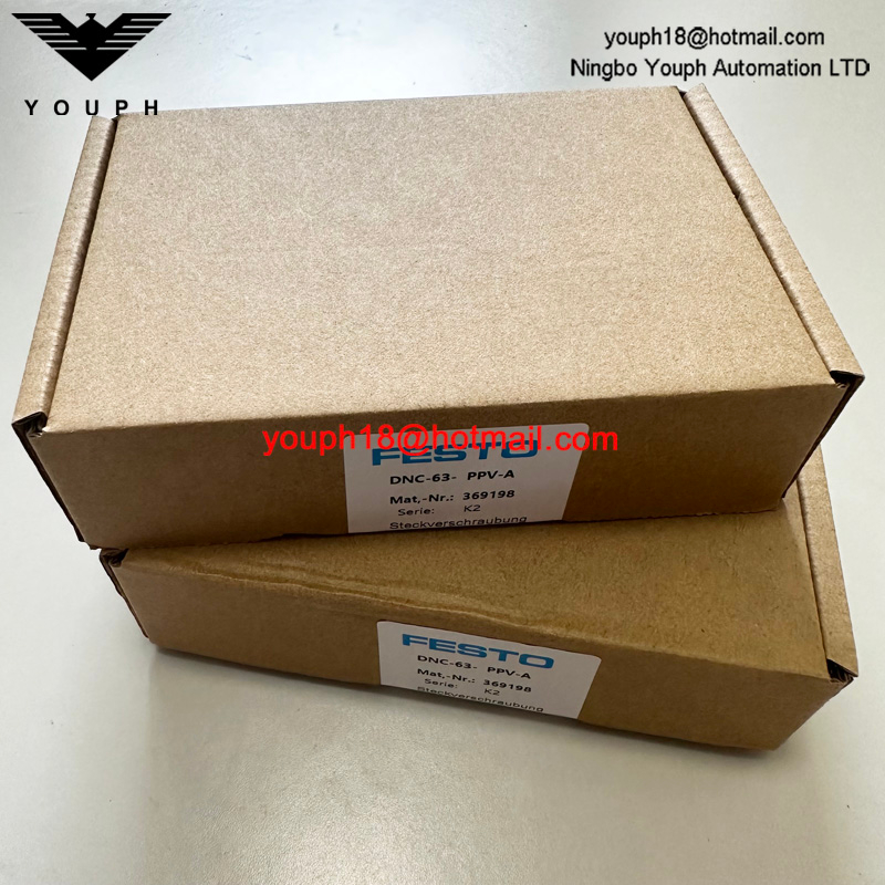 Festo DNC-63-PPVA 369198 DNC Cylinder Set of wearing parts