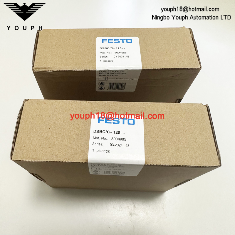 Festo DSBC/G-125-- 8004985 DSBC125 Standad Cylinder Repair Kit