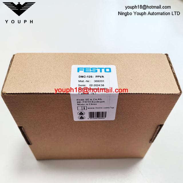 Festo DNC-125-PPVA 369201 DNC125 ISO15552 Standard Cylinder Repair Kit