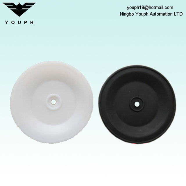 15R022 15R029 GRACO Diaphragm Diameter 170mm for HUSKY 1050 pumps