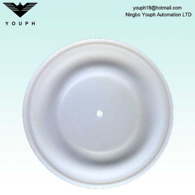 15K313 Husky 2150 2" Diaphragm Pump PTFE Diaphragm
