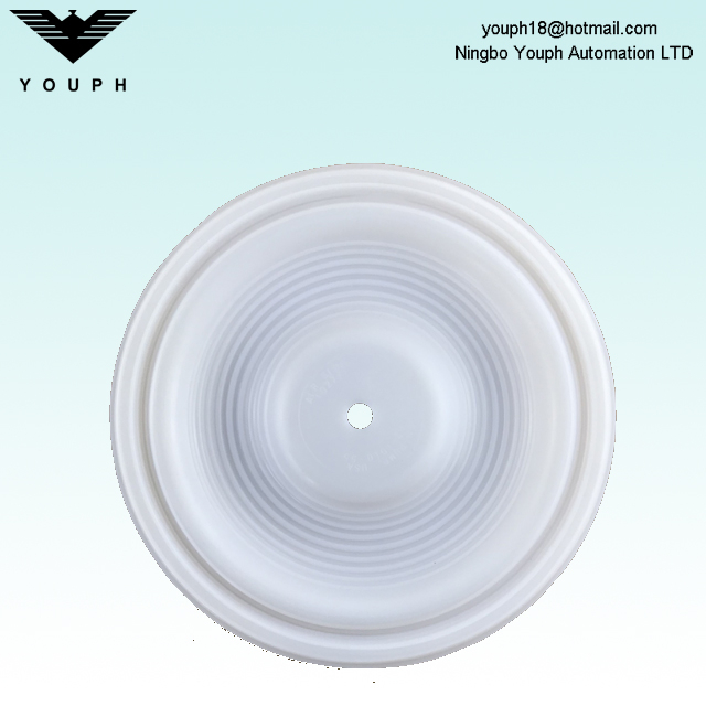 Wilden 02-1010-55 PTFE Membrane for P2 P200 1 inch Pneumatic Diaphragm Pumps