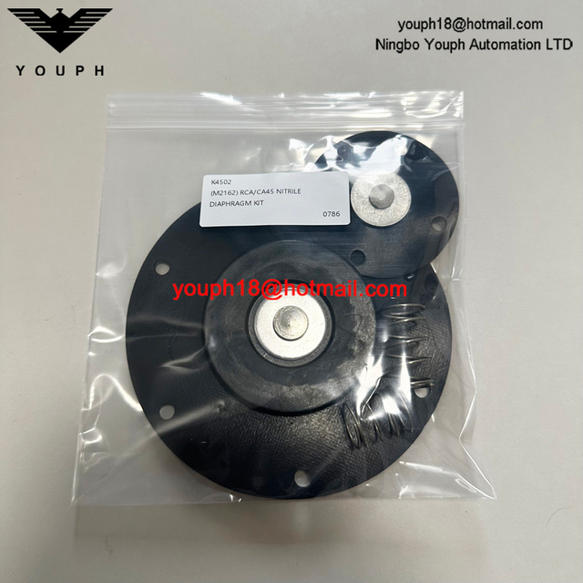 Goyen K4502 M2162 RCAC45FS CA45FS010-300 1-1/2" Flanged Pulse Valve Diaphragm Spare Kit