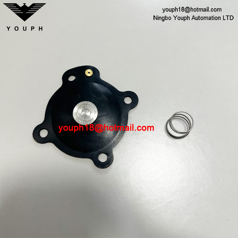 DB16 VEM206 VNP206 VEM306 VNP306 Diaphragm Valve Repair Kit