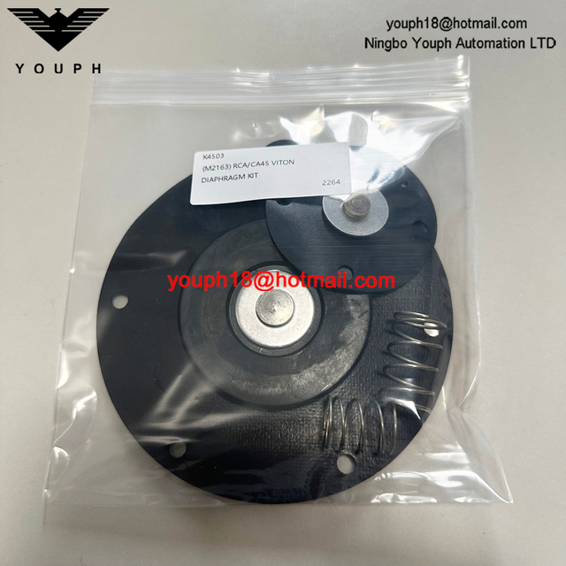 Goyen K4503 M2163 RCA45T RCA45DD CA45T011-300 -305 Pulse Valve Viton Diaphragm Kit